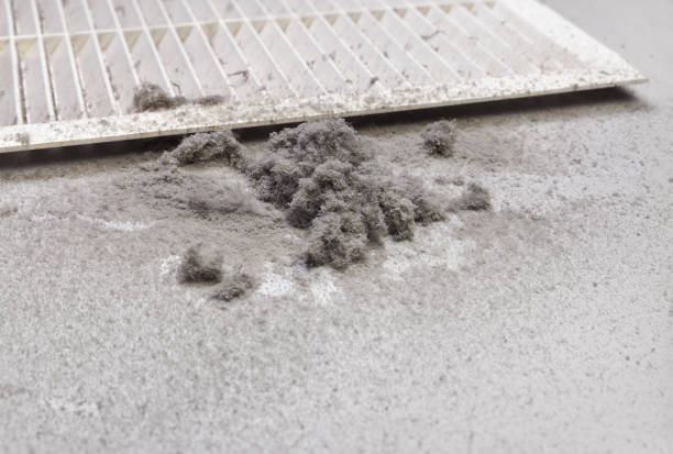 Best Air Duct Cleaning Near Me  in Greenville, IN